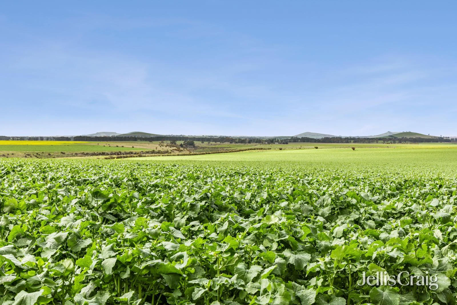 Additional image 13 of Lot 2/2970 Ballarat Maryborough Road, Clunes VIC 3370
