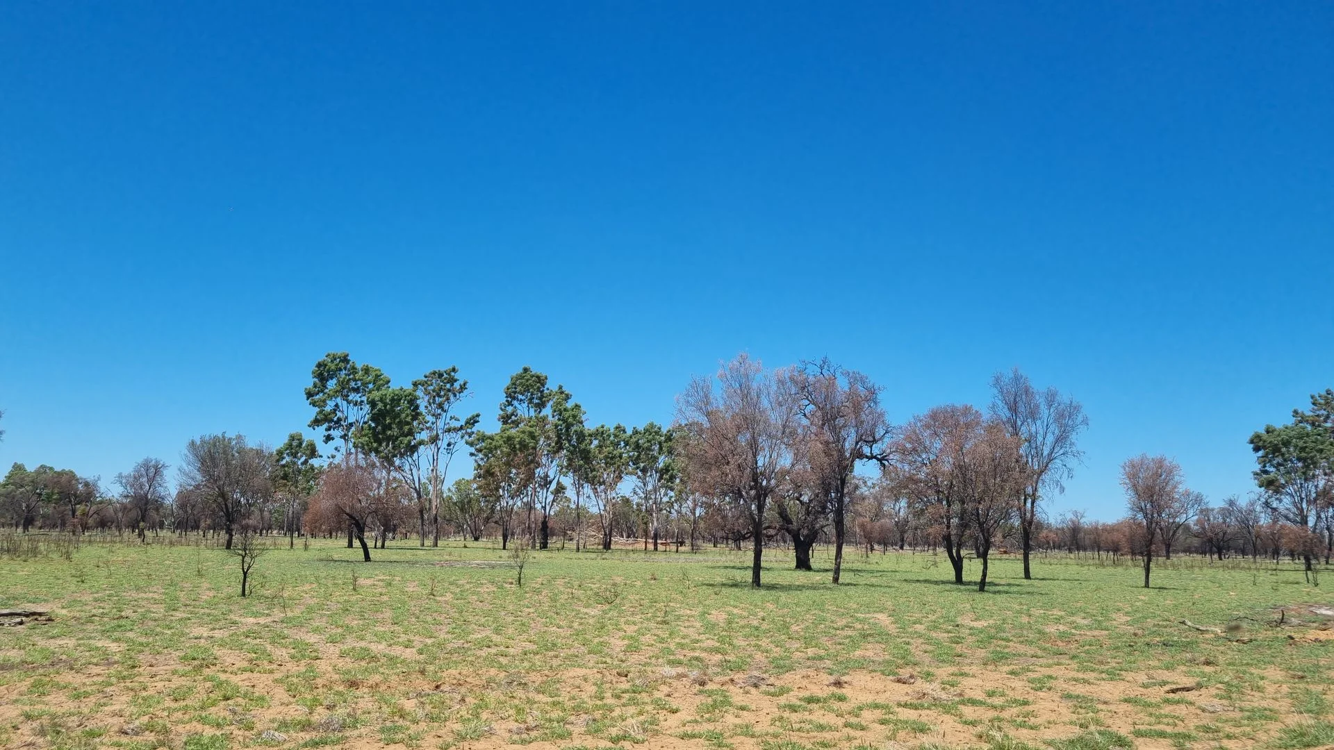 Additional image 9 of 202-410 Wallal Street, Bakers Bend QLD 4470