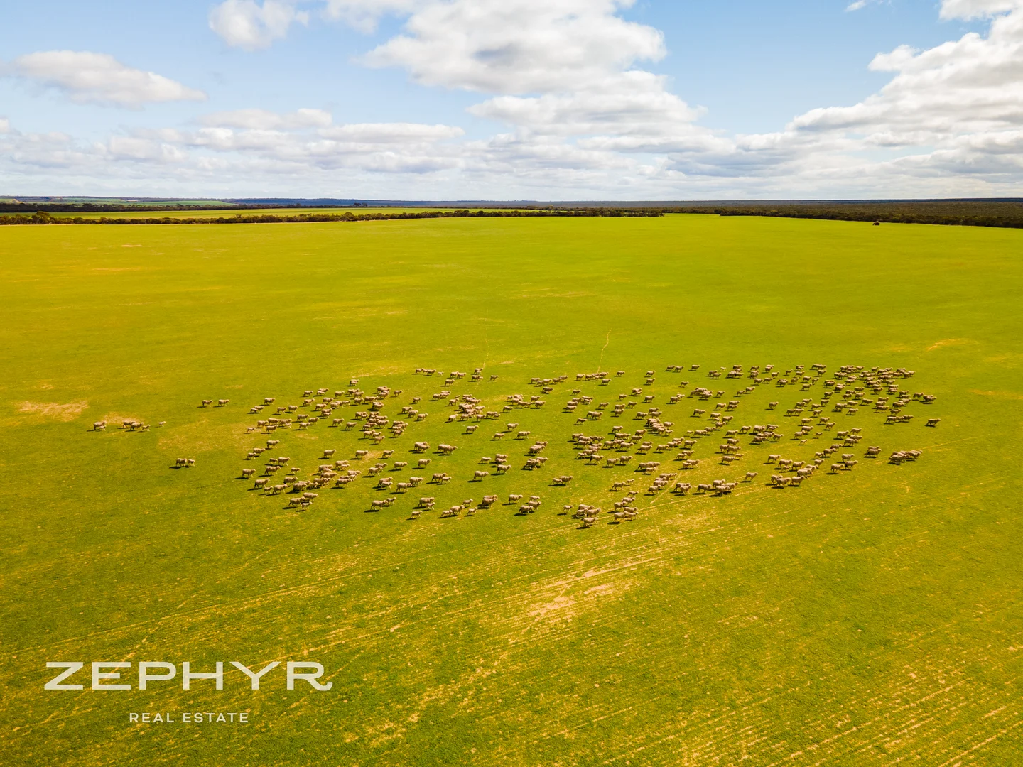 Additional image 14 of 885 Brennand Road, South Yilgarn WA 6426