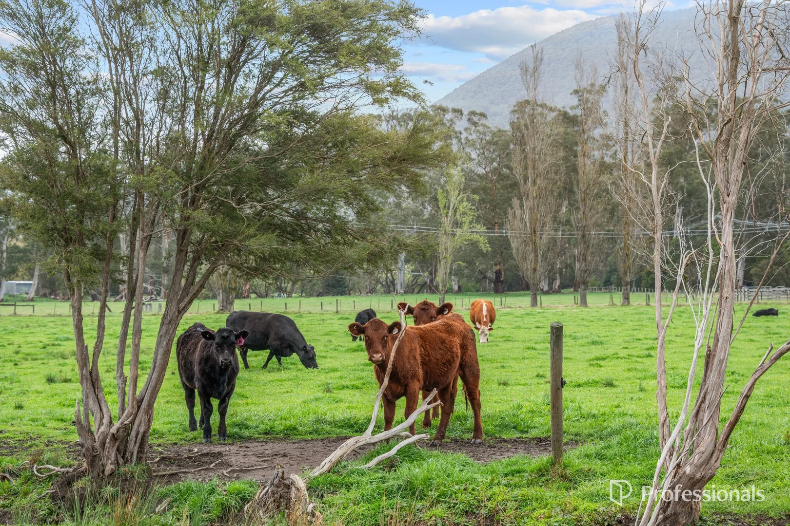 Additional image 20 of 230 Station Road, Wesburn VIC 3799