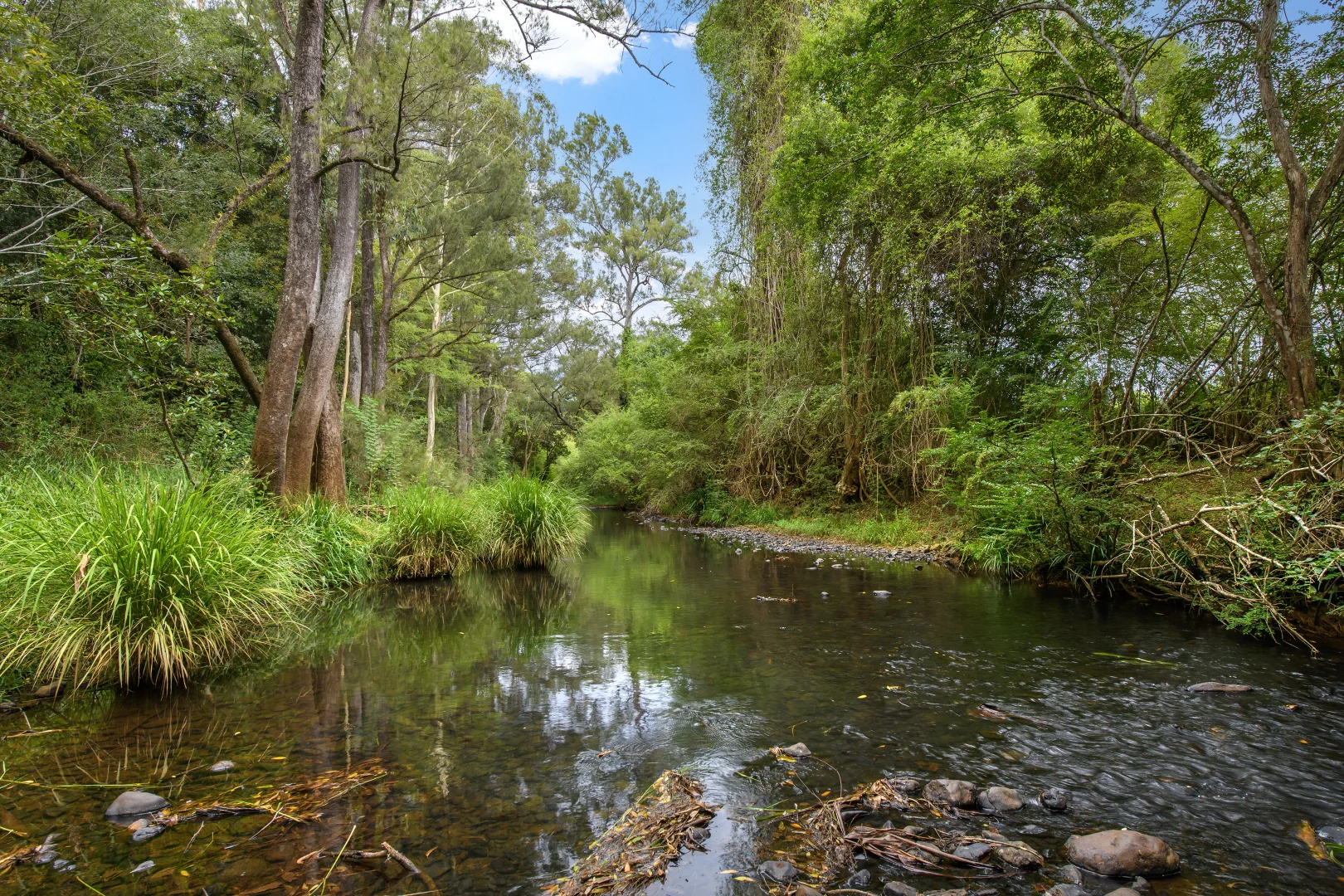 Additional image 30 of 1078 Comboyne Road, Byabarra NSW 2446