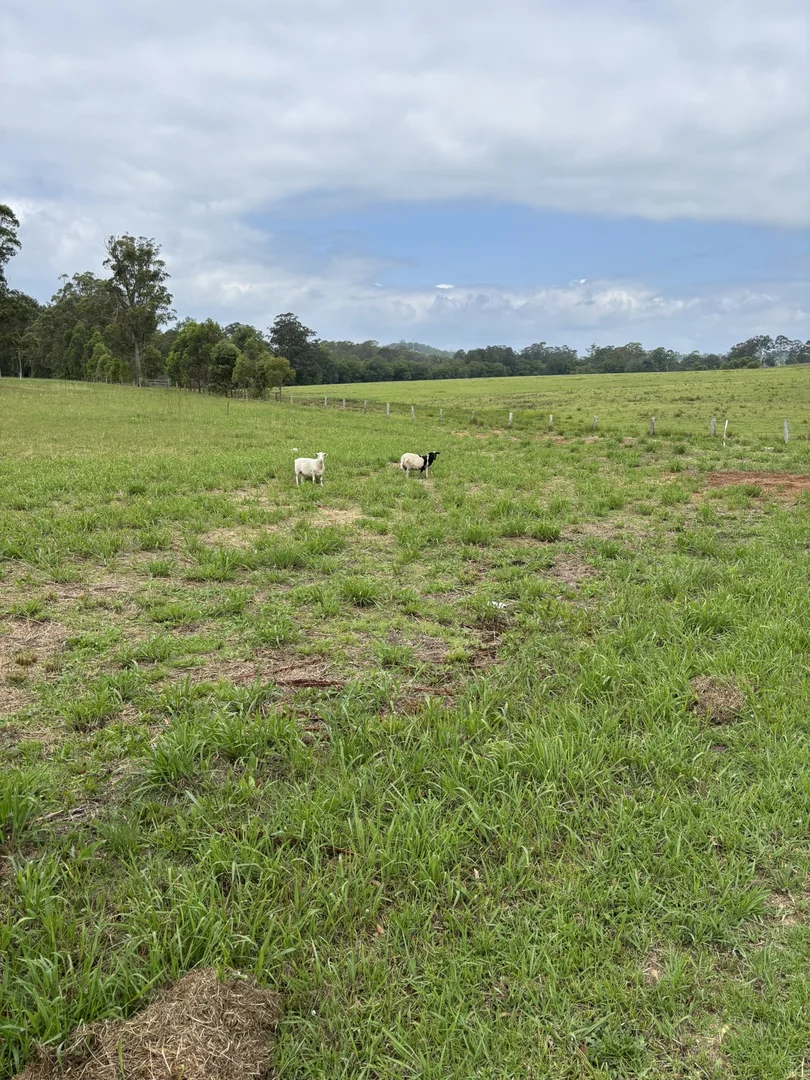 Additional image 3 of 119 Briton Court Road, Stroud NSW 2425