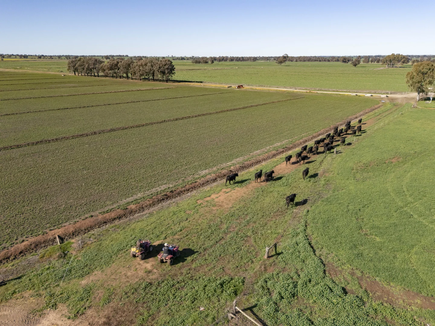 Additional image 26 of 2244 Berrigan Road, Berrigan NSW 2712