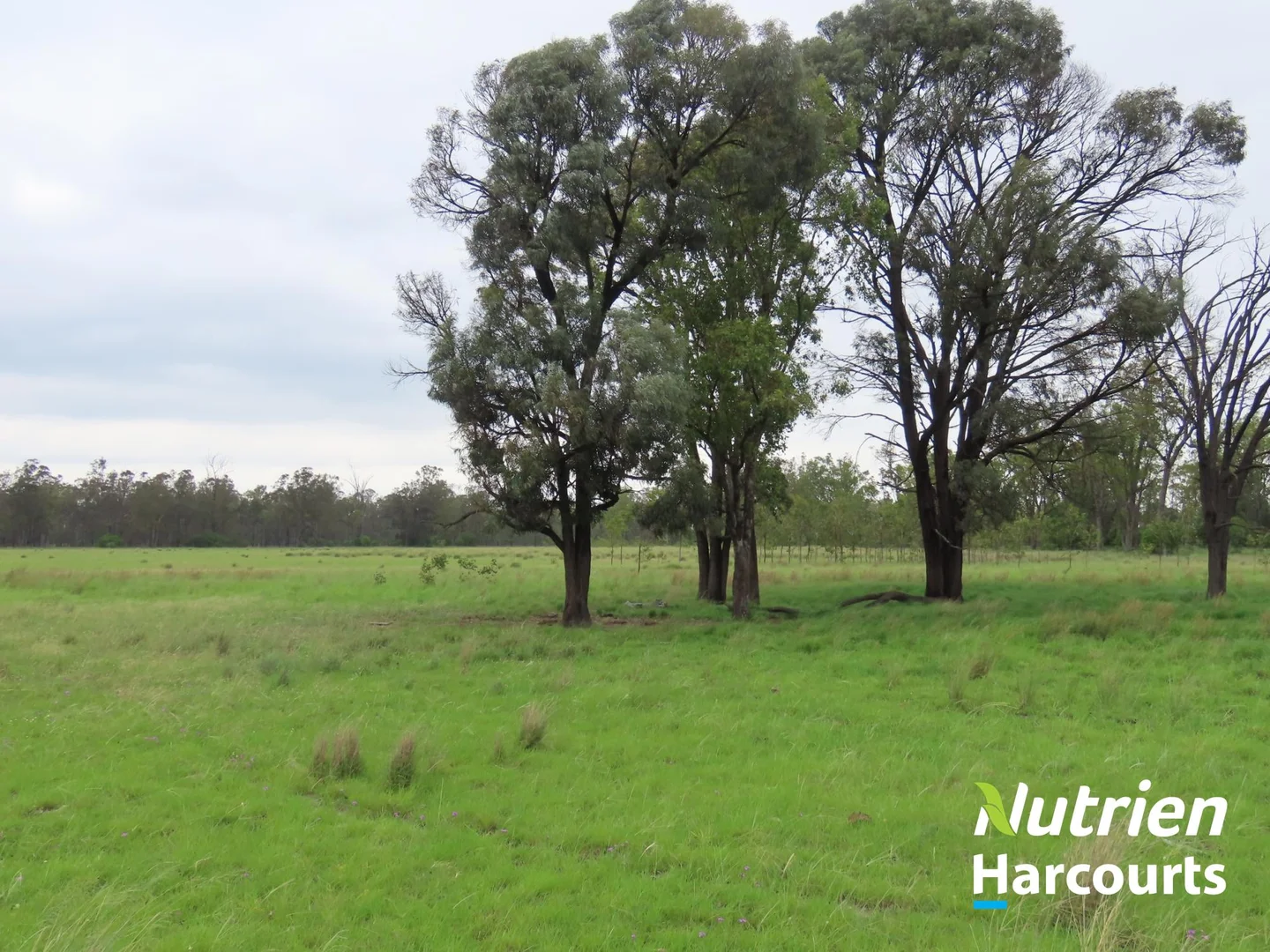 Additional image 3 of 2138 Burra Burri Creek Road, Chinchilla QLD 4413
