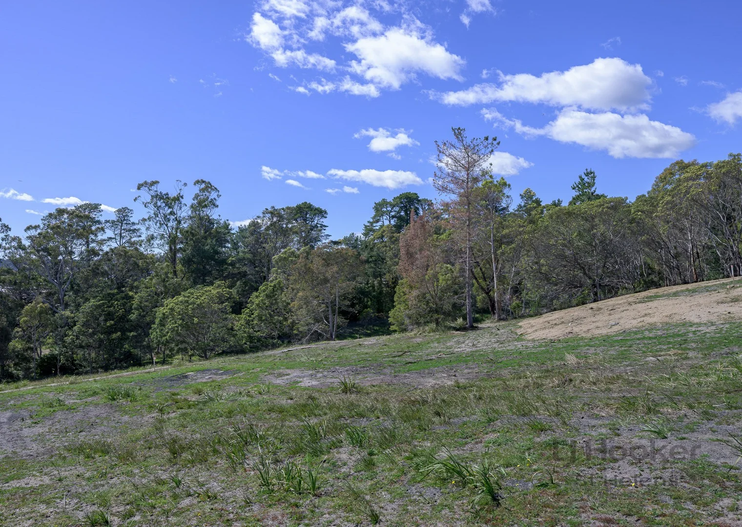 Additional image 21 of 1-10 Oceanvista Drive, St Helens TAS 7216