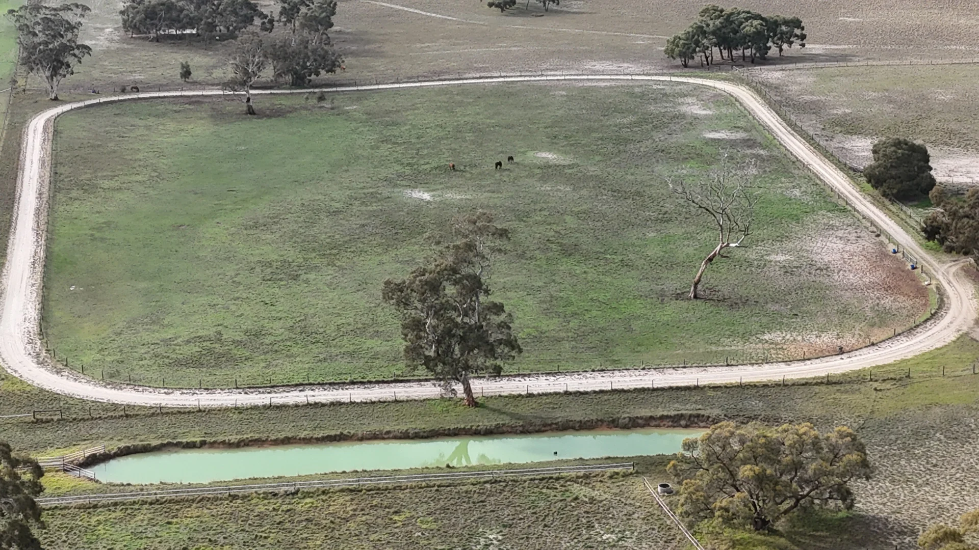 Additional image 4 of 2773 Naracoorte Road, Bordertown SA 5268