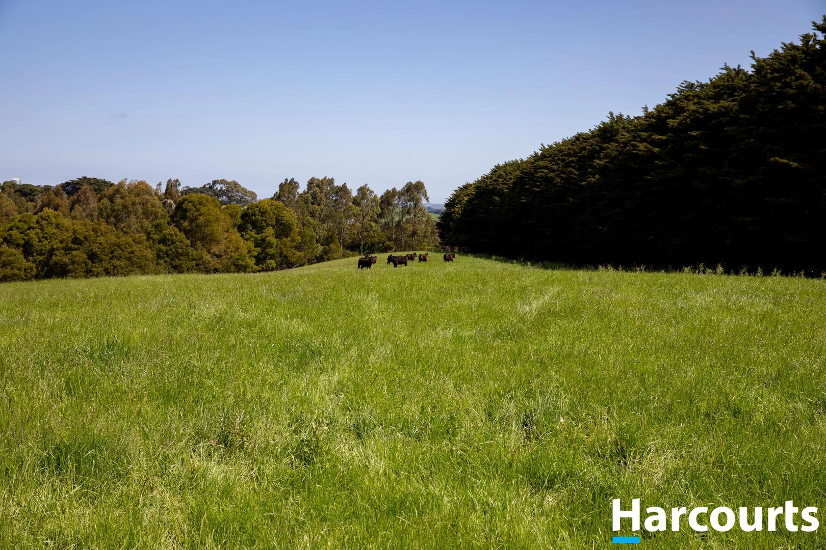 Additional image 9 of 715 Falls Road, Fish Creek VIC 3959