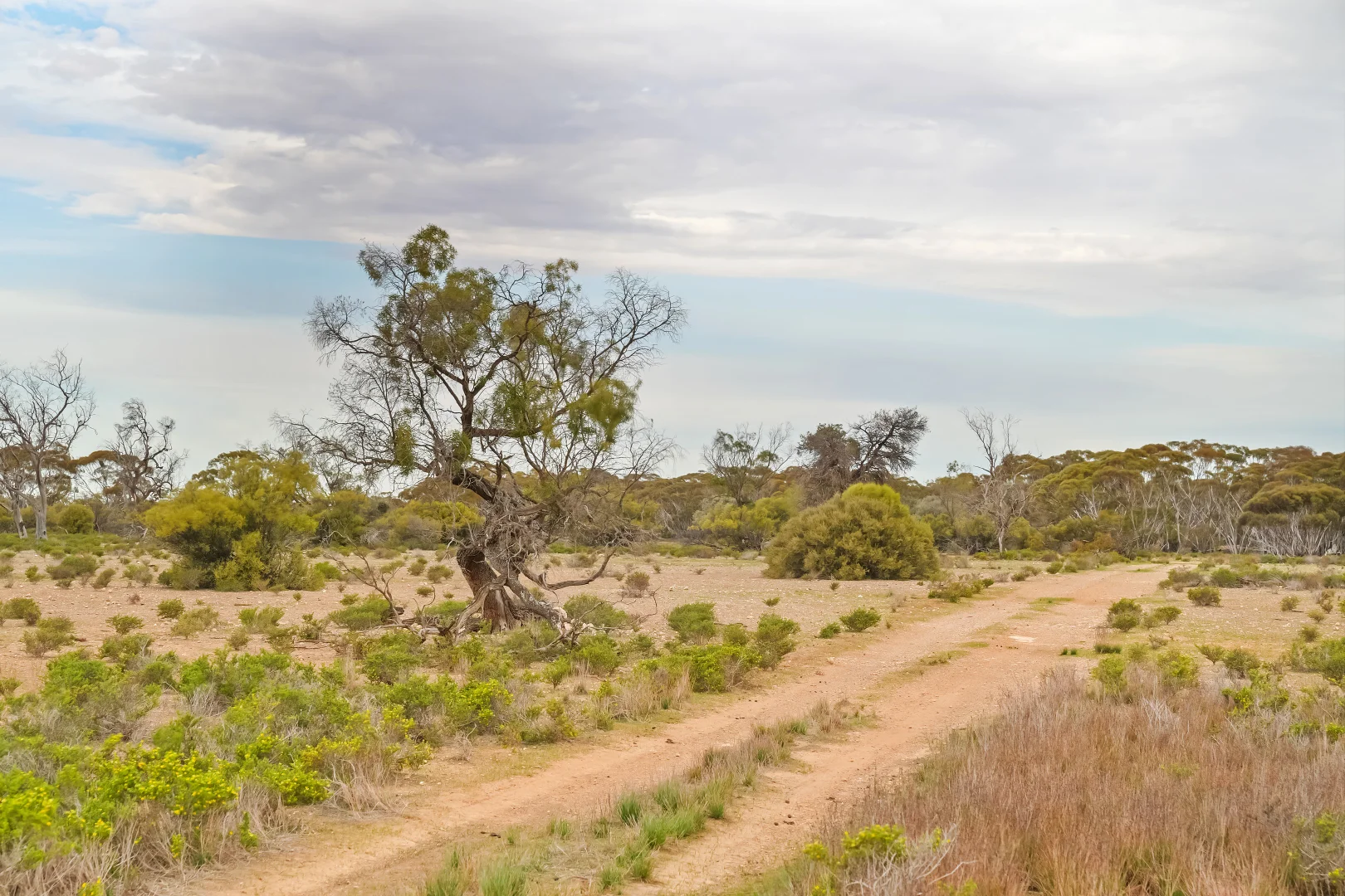 Additional image 9 of 191 Roonka Road, Blanchetown SA 5357