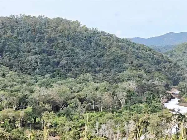 Additional image 3 of 3228 Rossville Bloomfield Road, Bloomfield QLD 4895