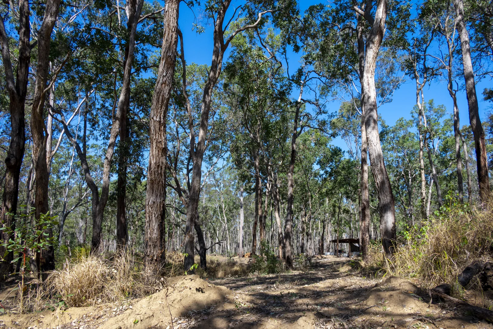 Additional image 27 of 151 Cameron Road, Taromeo QLD 4314