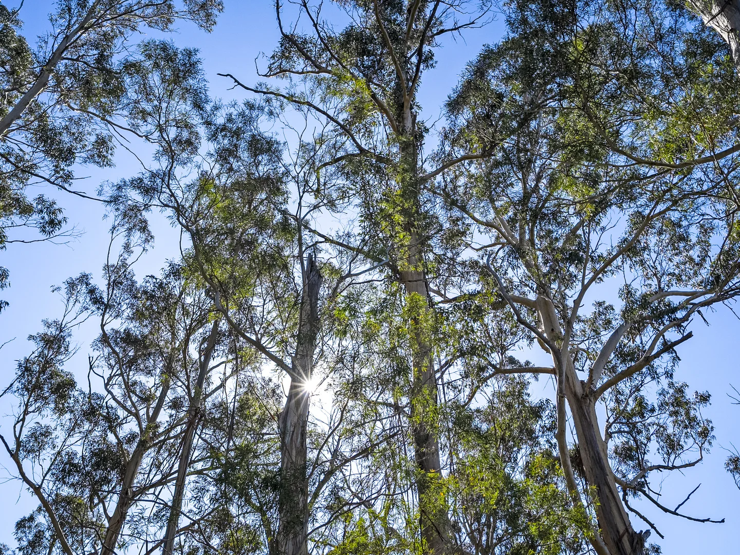 Additional image 6 of 196 Alma Road, Orford TAS 7190