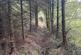 Additional image 5 of Maudland, Rhos, Carmarthenshire SA33