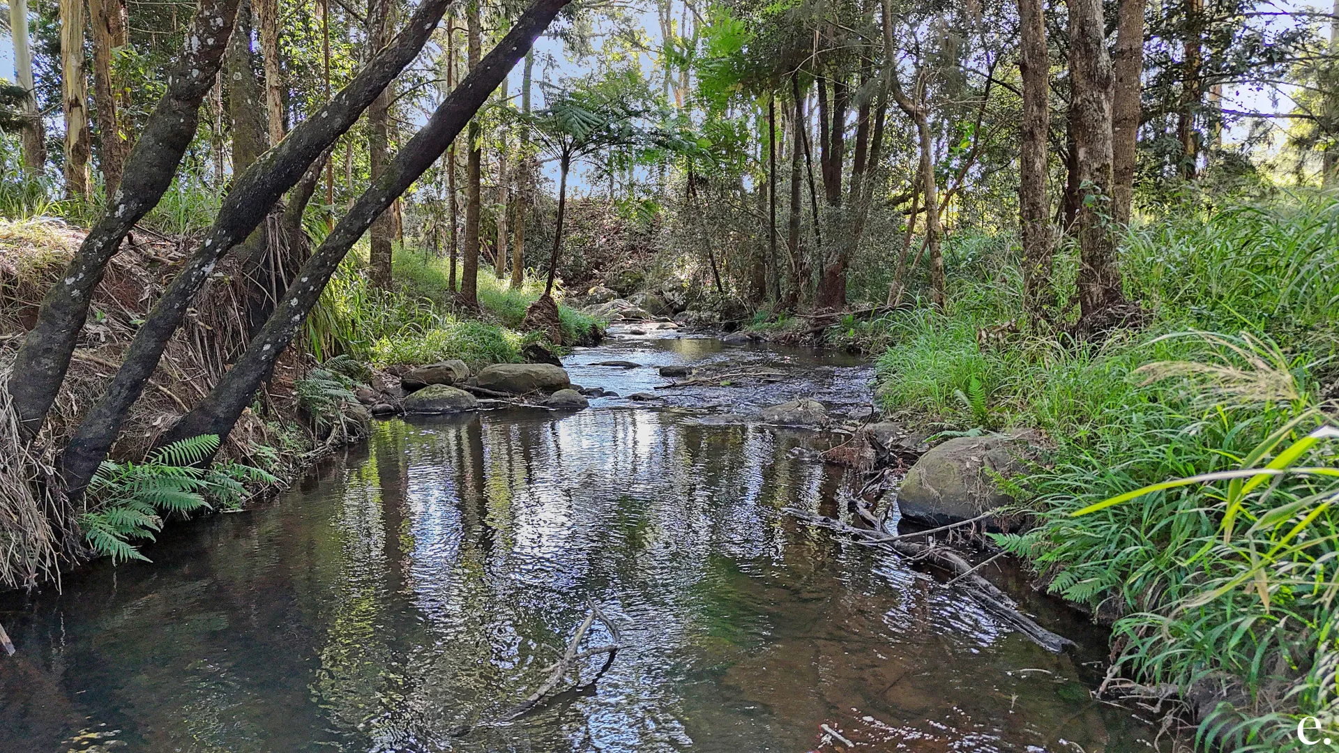 Additional image 25 of 13123 Kennedy Highway, Ravenshoe QLD 4888