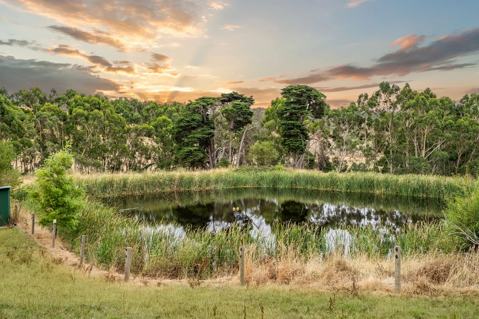 Additional image 11 of 170 Cobden Port Campbell Road, Scotts Creek VIC 3267