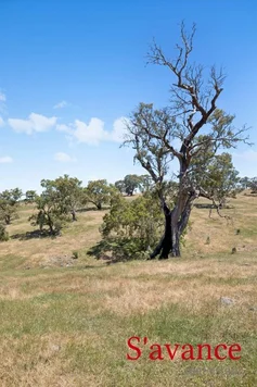 Additional image 15 of 10 Warmington Run, Mount Torrens SA 5244