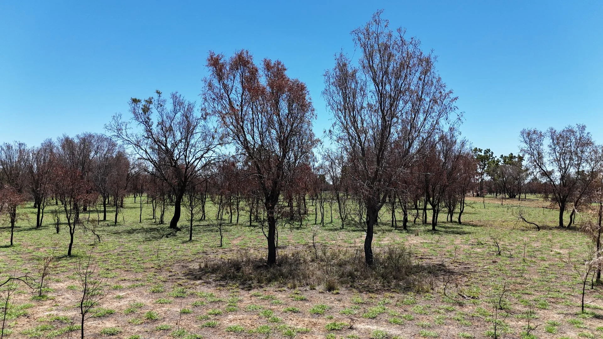 Additional image 14 of 202-410 Wallal Street, Bakers Bend QLD 4470