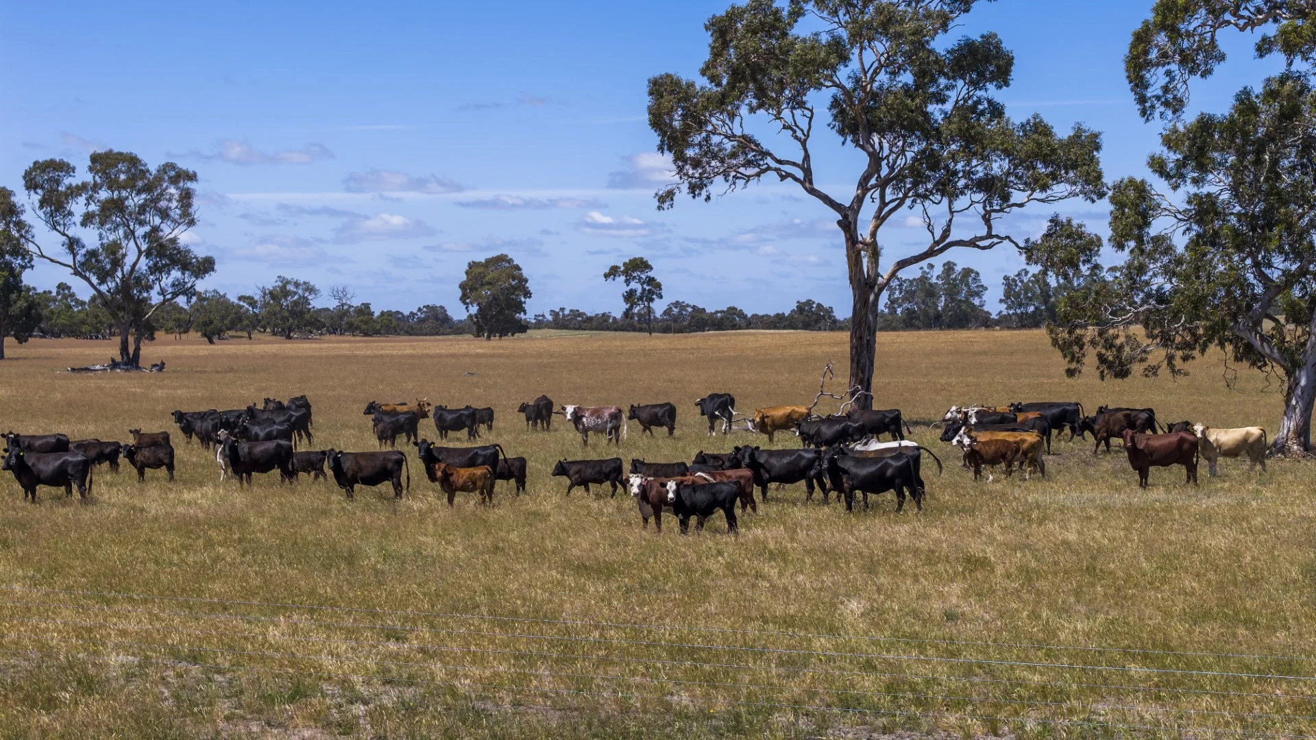 Additional image 6 of 1695 Emu Flat Road, Sherwood SA 5267