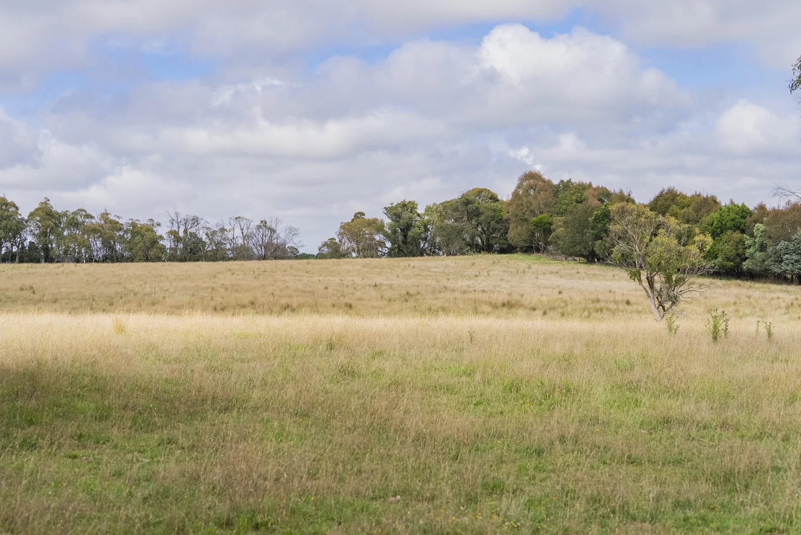 Additional image 16 of 251 Mount Rae Road, Roslyn NSW 2580