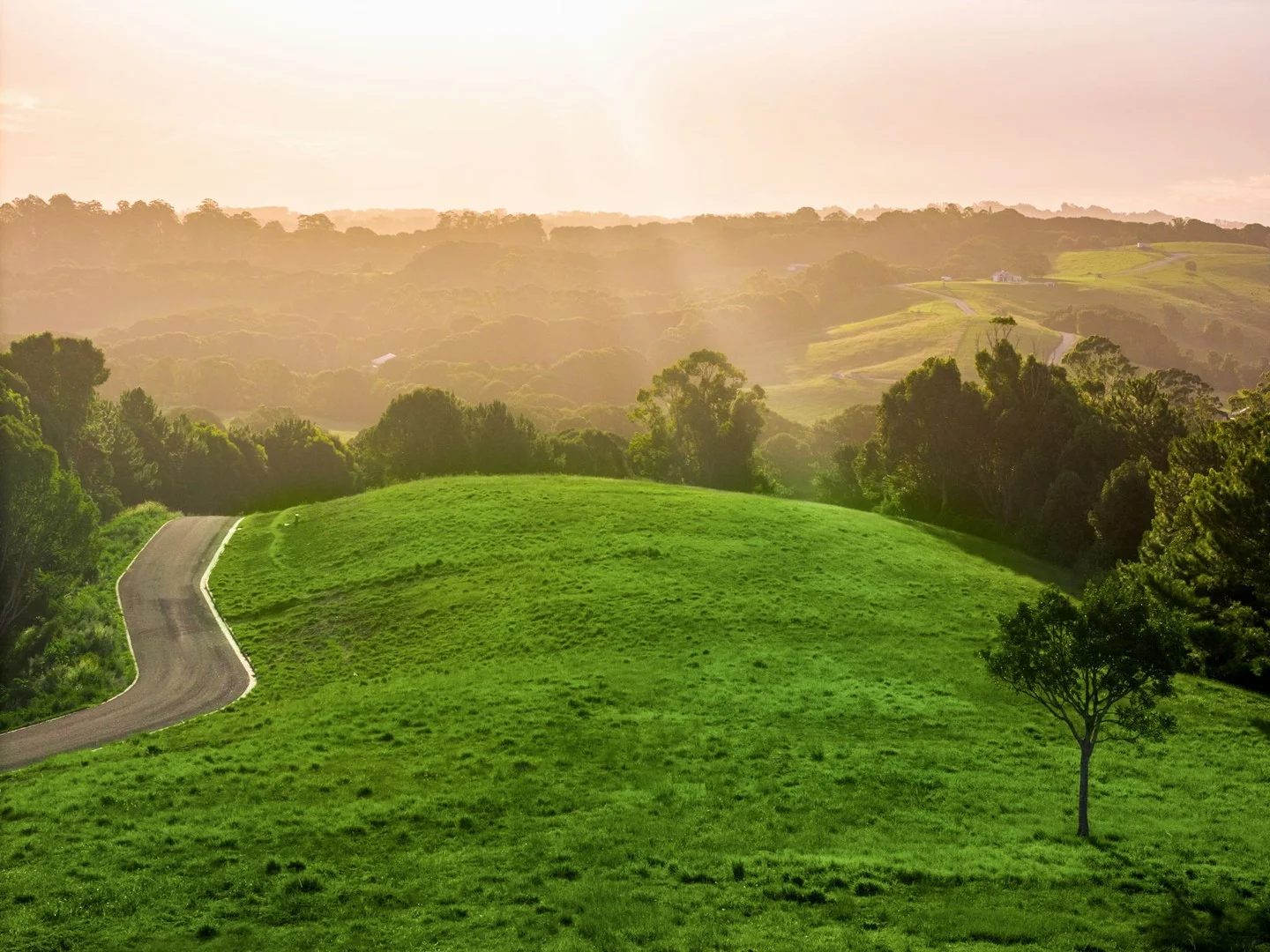 Additional image 3 of 111 Fowlers Lane, Bangalow NSW 2479