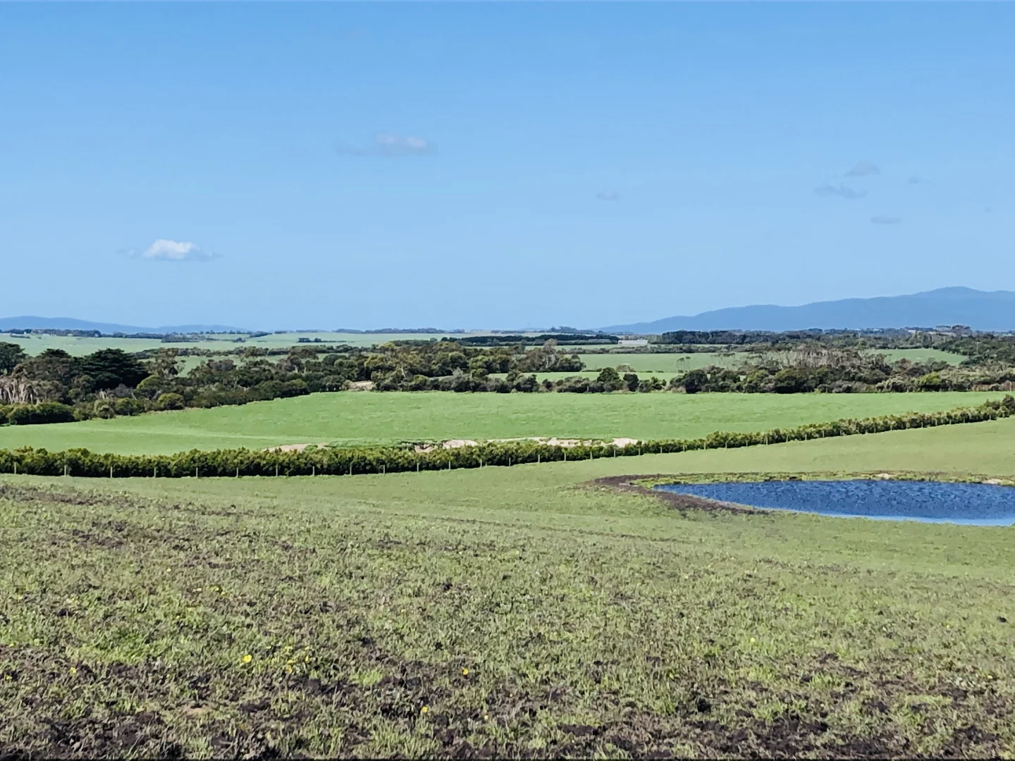 Additional image 31 of 2988 Meeniyan-Prom Rd, Yanakie VIC 3960