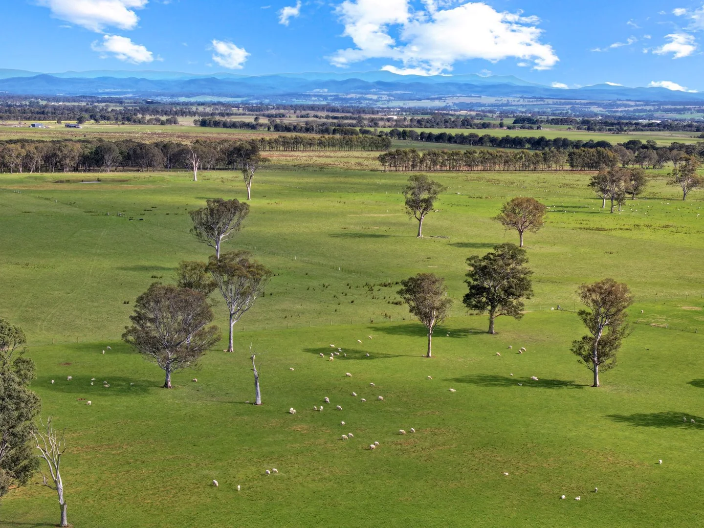 Additional image 12 of 1380 Princes Highway, Hillside VIC 3875