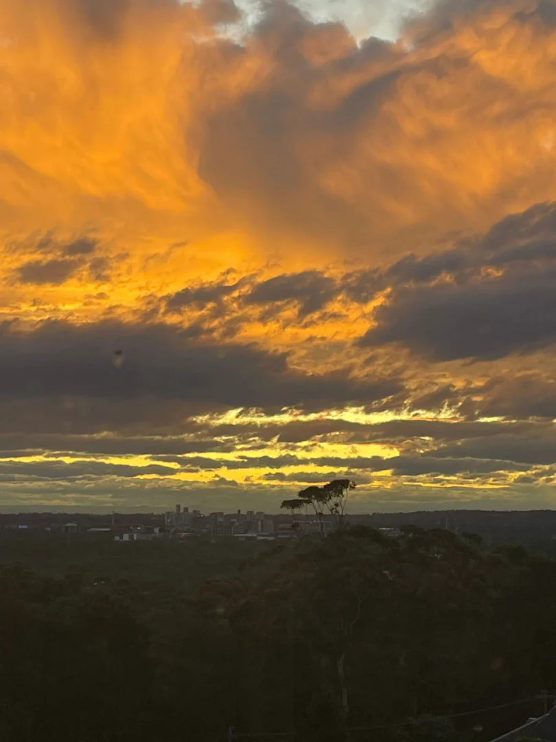 Additional image 3 of 55/14 Brown Street, Chatswood NSW 2067