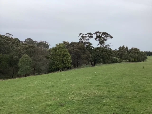 Additional image 15 of 236 Morrisons Lane, Korobeit VIC 3341