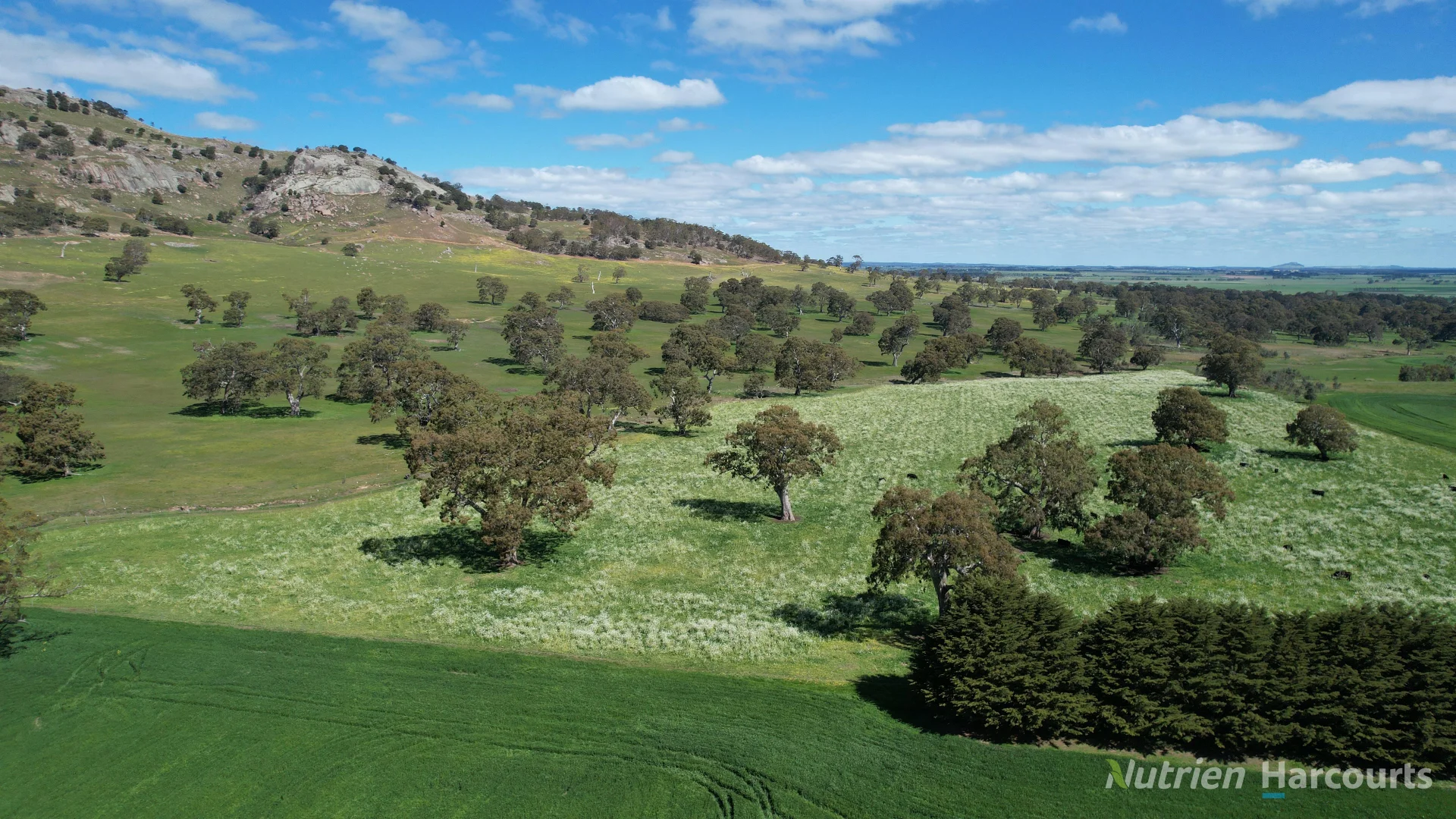 Additional image 5 of Lot 2 Beaufort-Waubra Road, Ercildoune VIC 3352