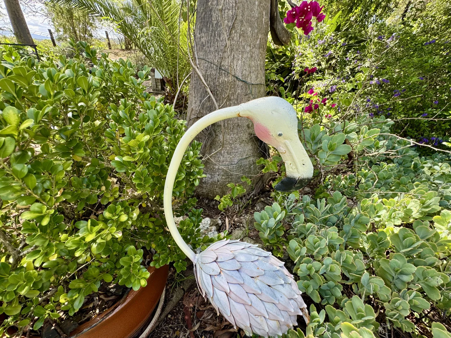 Additional image 8 of "Nullegai" 190 Thompson Creek Road, Scone NSW 2337