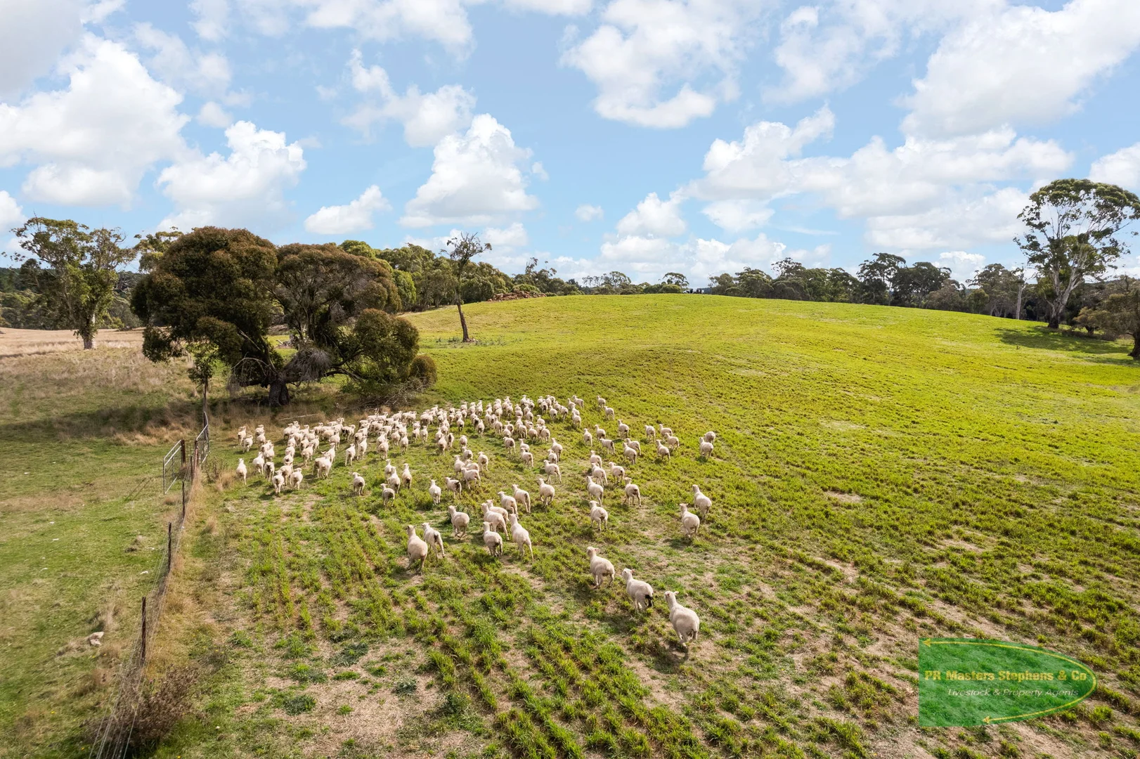 Additional image 49 of 800 Riverview Forest Road, Mozart NSW 2787