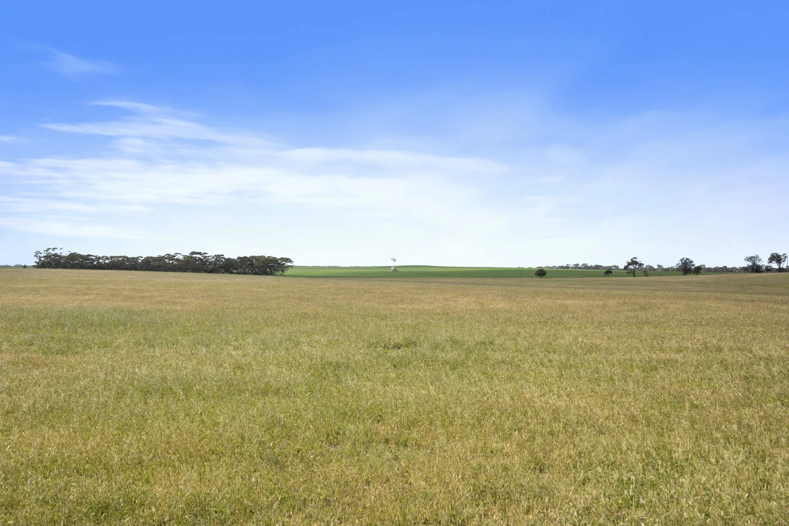 Additional image 24 of 4910 Mallee Highway, Peake SA 5301