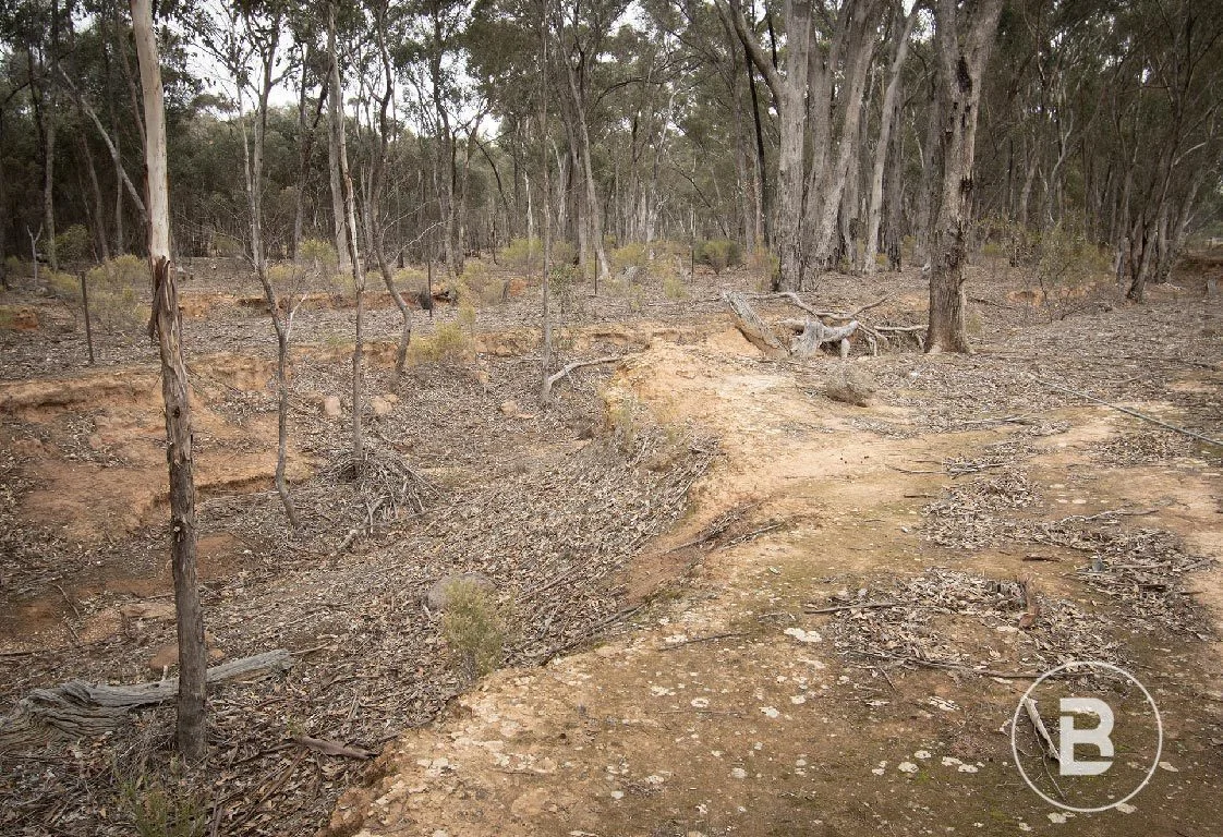 Additional image 8 of 163 Kicks Lane, Dunolly VIC 3472