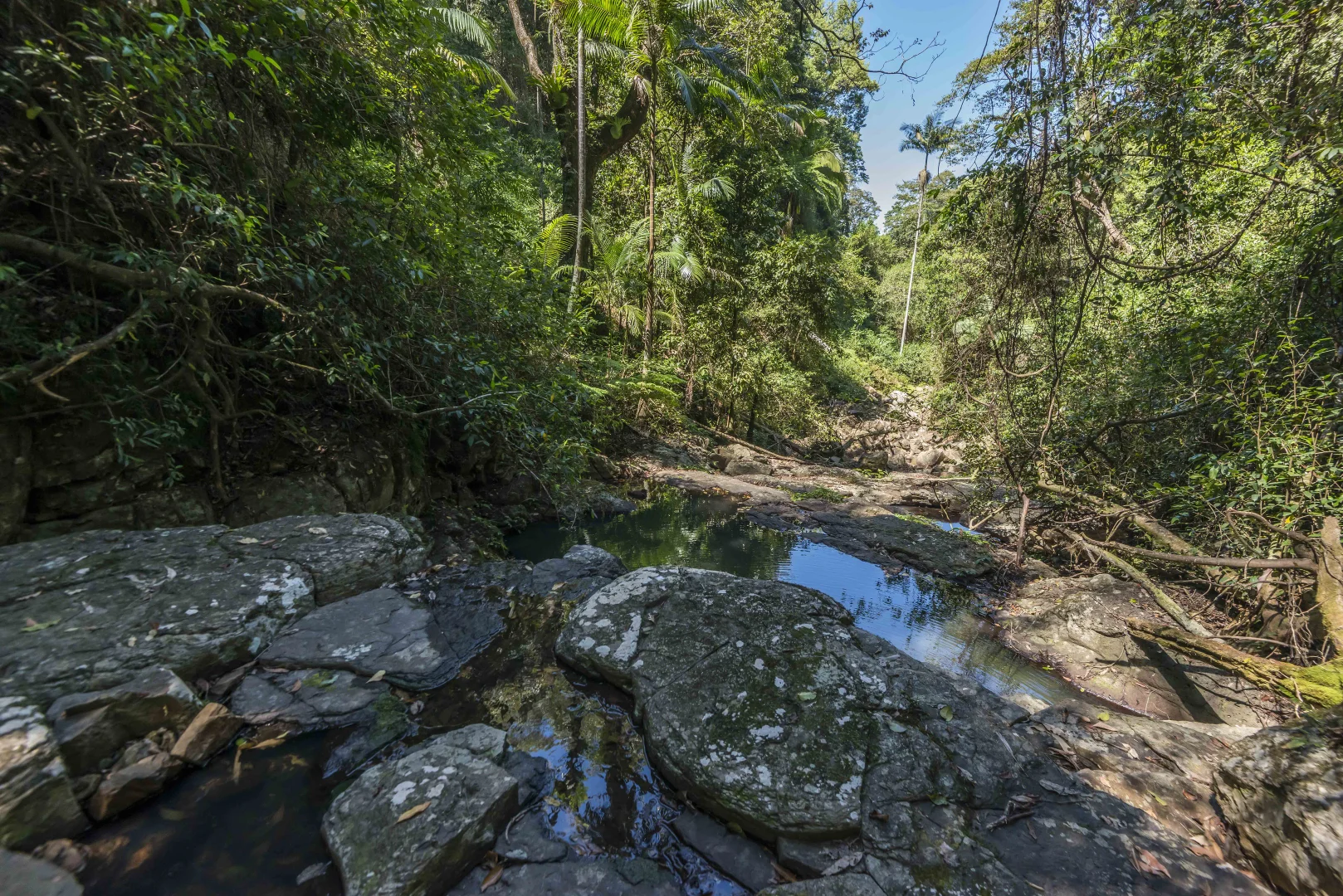 Additional image 26 of 76 Maso Road, Repentance Creek NSW 2480