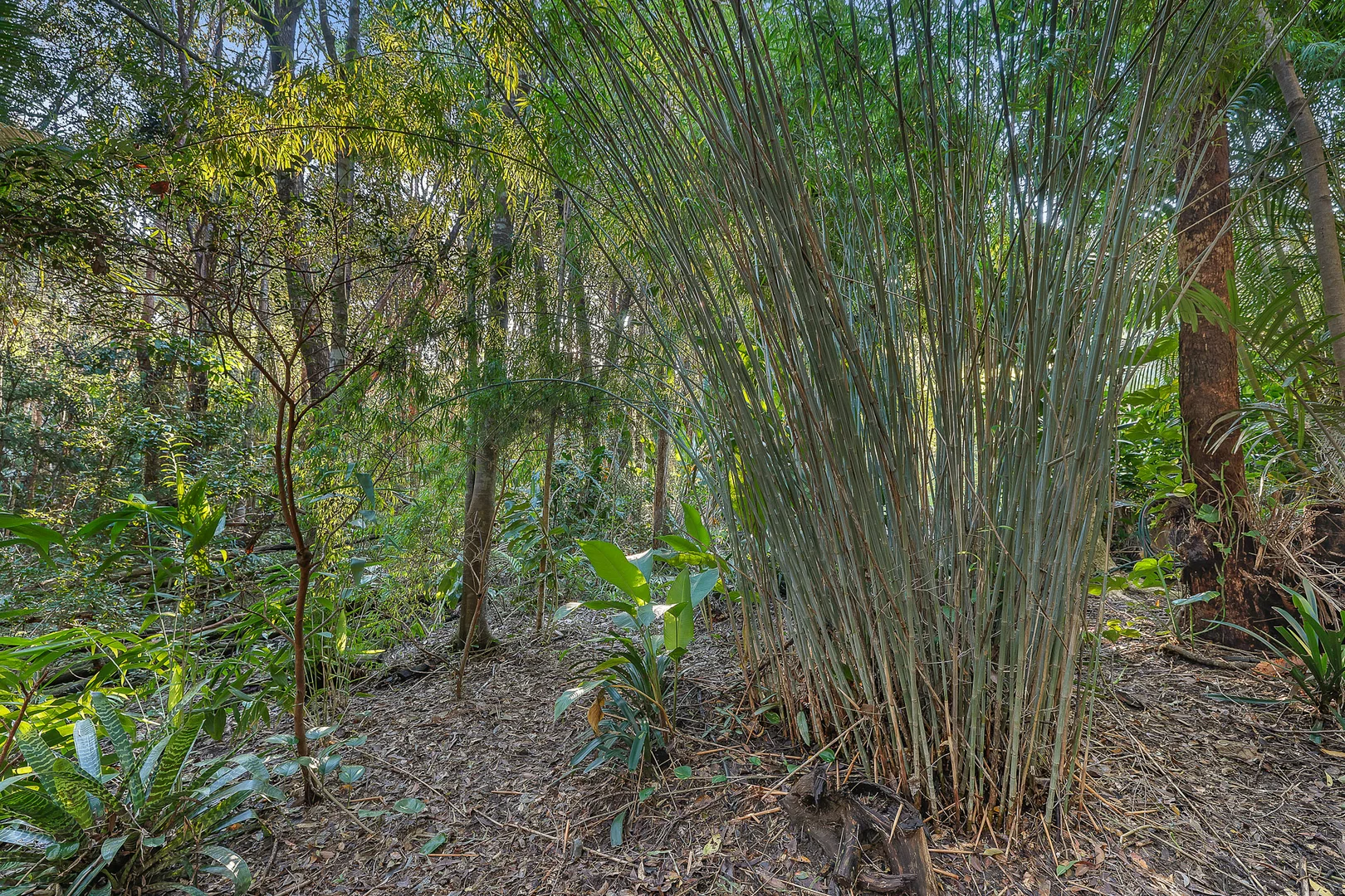 Additional image 27 of 69 Armada Crescent, Currumbin Waters QLD 4223