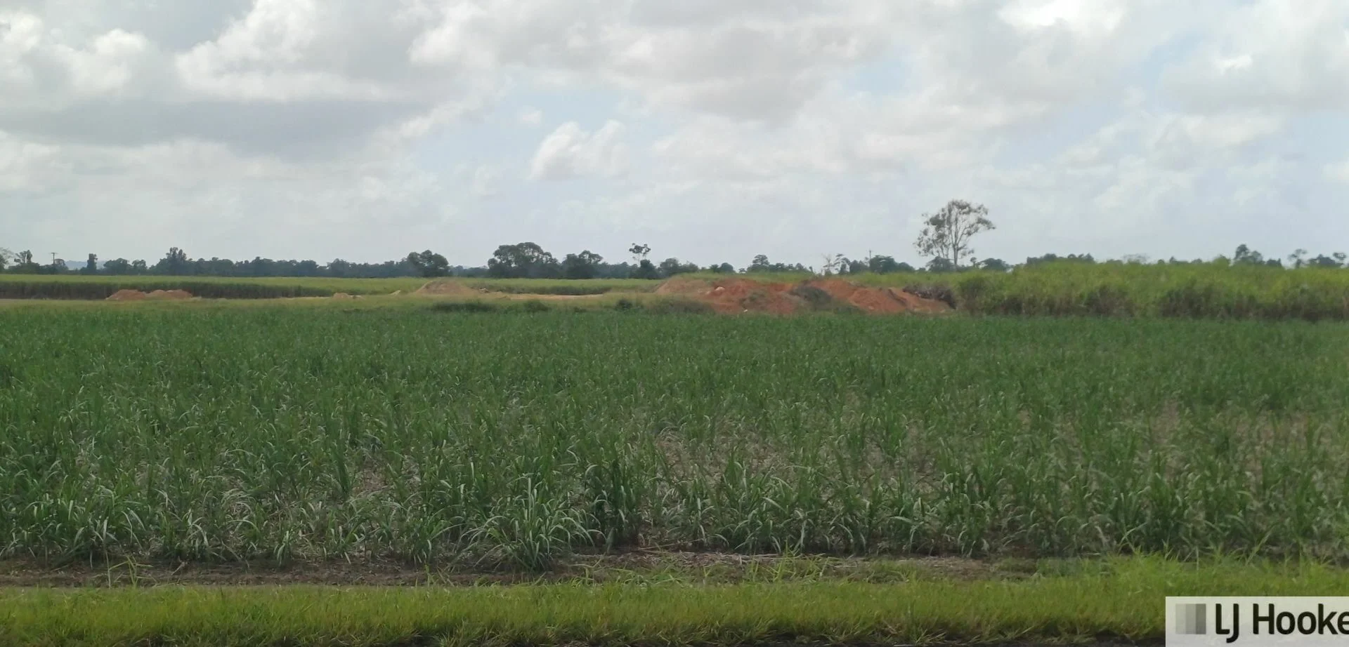 Additional image 2 of Lot 1 Jack Evans Drive, Silky Oak QLD 4854