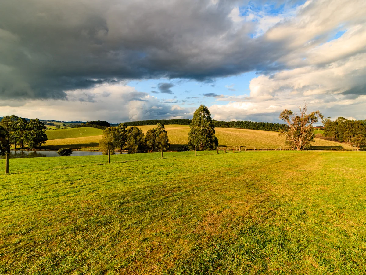Additional image 5 of 14 Graham Street, Thorpdale VIC 3835