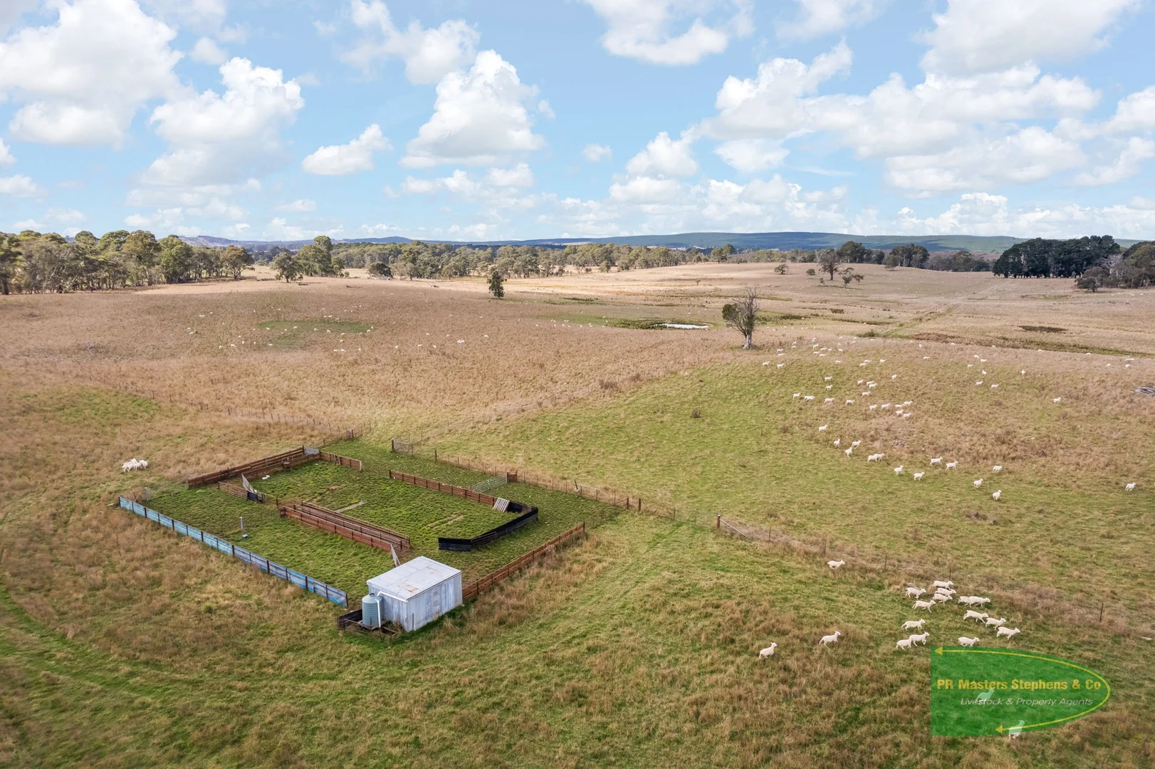 Additional image 25 of 800 Riverview Forest Road, Mozart NSW 2787