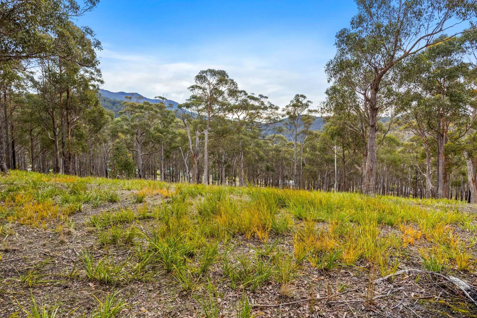 Additional image 10 of 90 Hackford Drive, Kingston TAS 7050