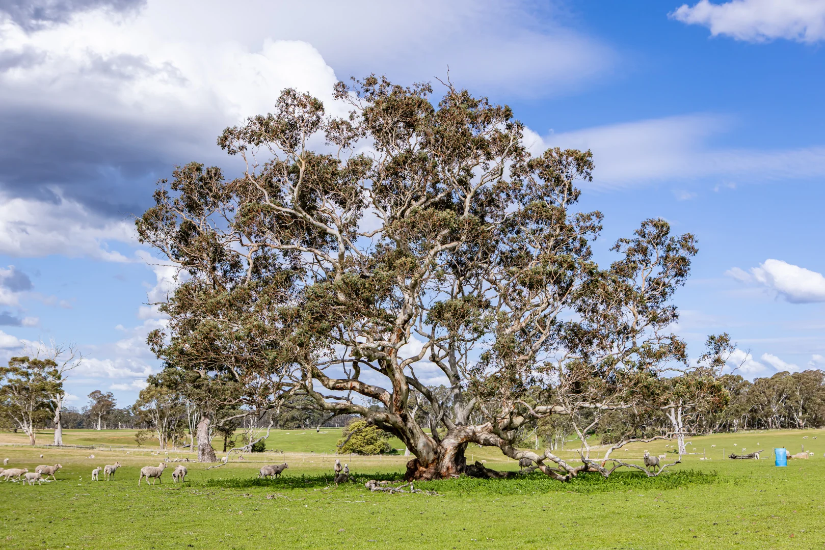 Additional image 2 of 219 Ockley Rd, Comaum SA 5277