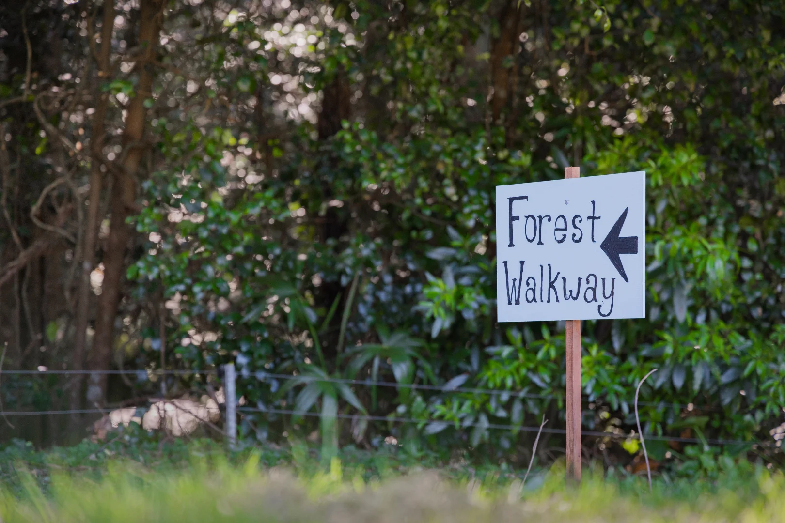 Additional image 30 of 499C Tourist Road, Bellawongarah NSW 2535