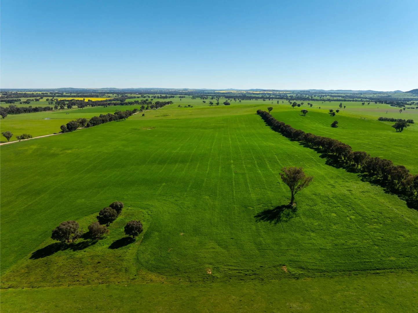 Additional image 20 of 272 Bulloc Hill Road, Mangoplah NSW 2652