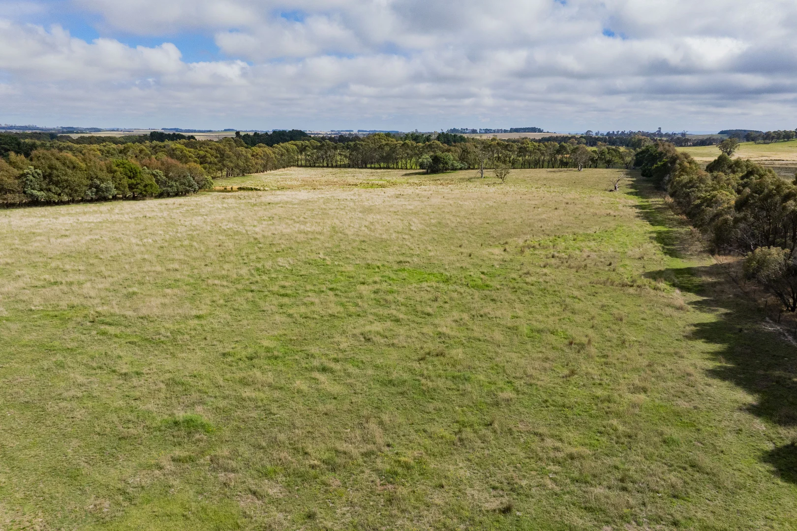 Additional image 25 of 251 Mount Rae Road, Roslyn NSW 2580