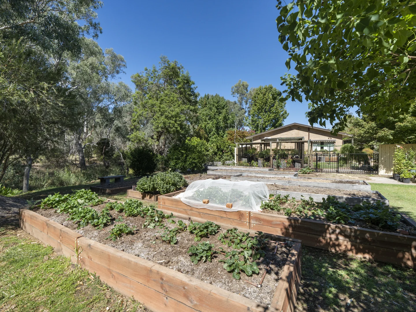 Additional image 18 of 139 Arundel Street, Benalla VIC 3672