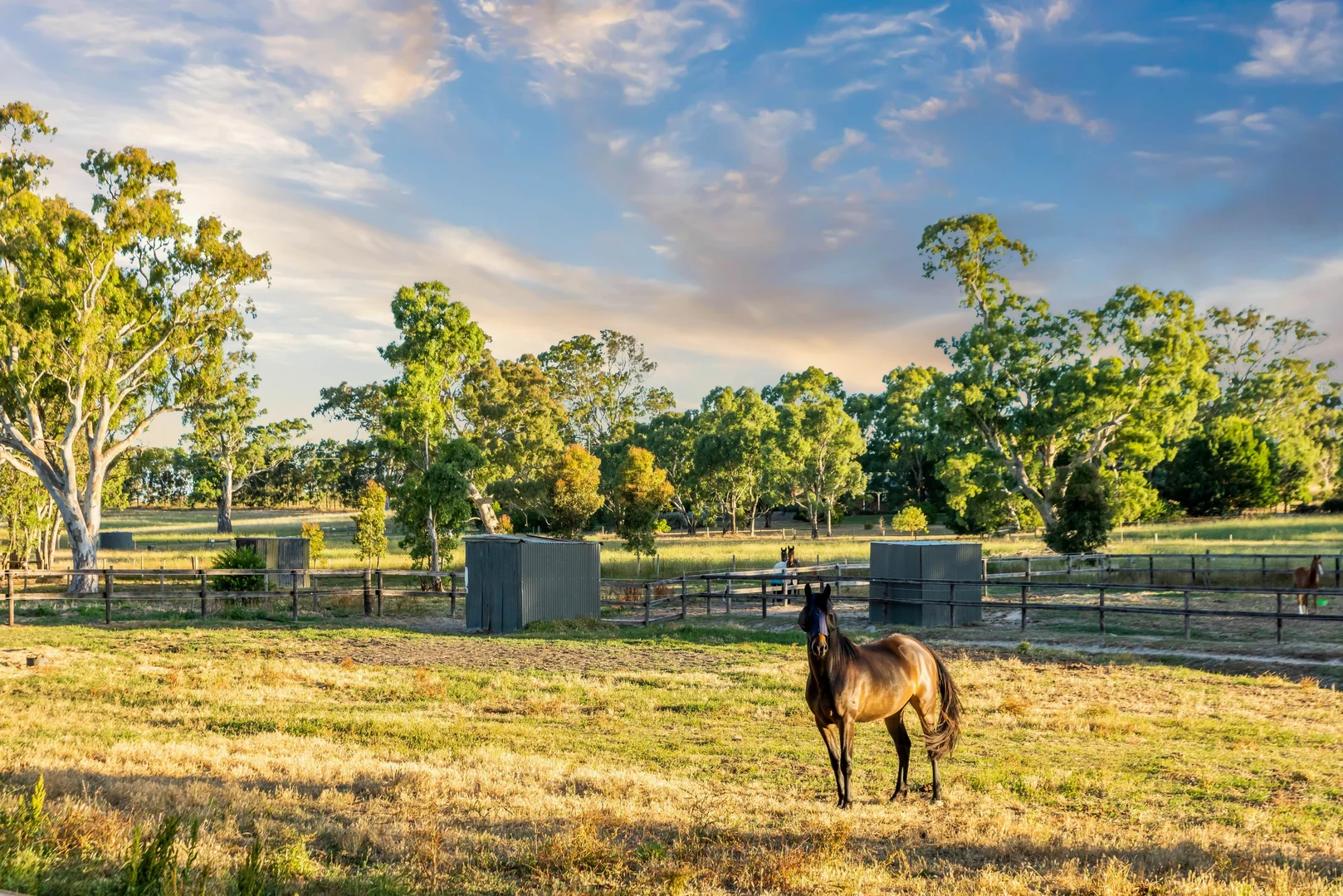 Additional image 31 of 59 McLean Road, Birdwood SA 5234