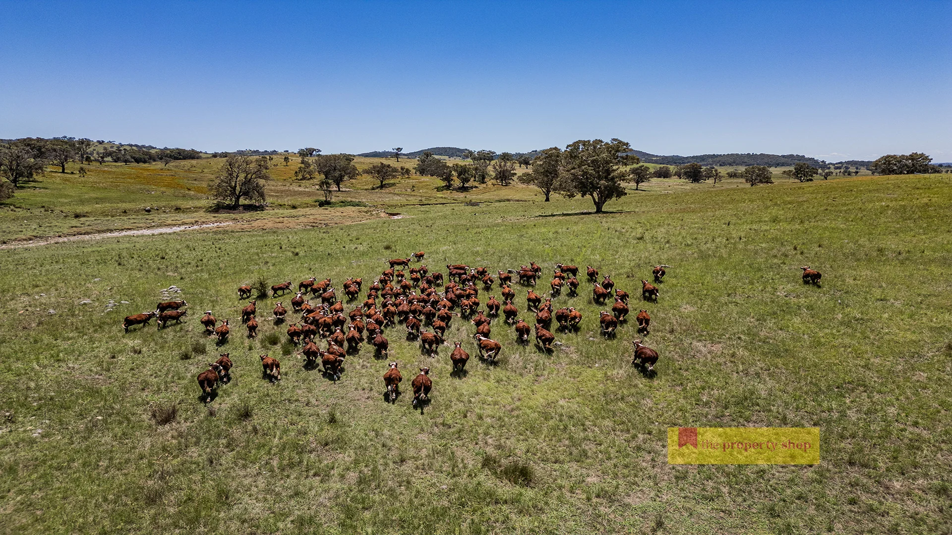 735 Kaludabah Road, Mudgee NSW 2850