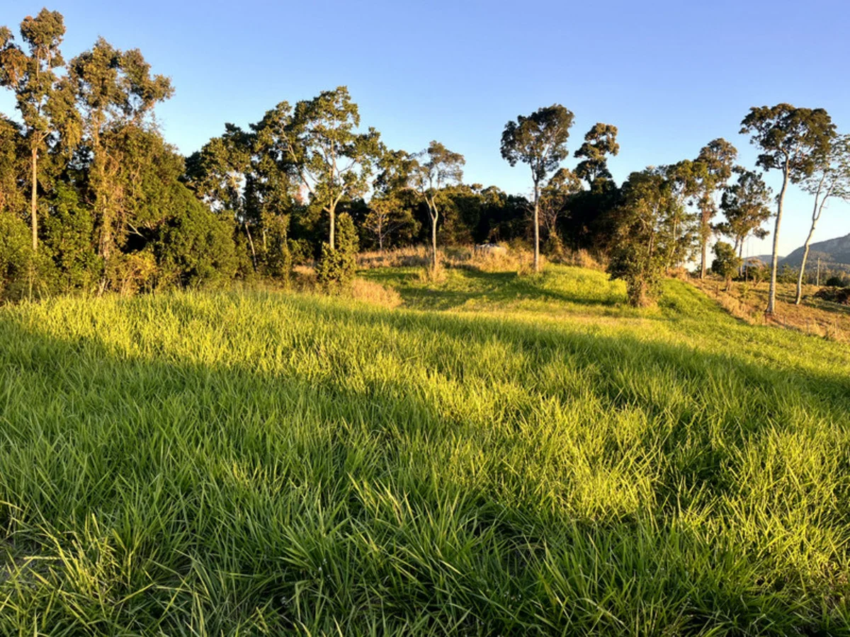 514 Dunwoody Road, Ball Bay QLD 4741