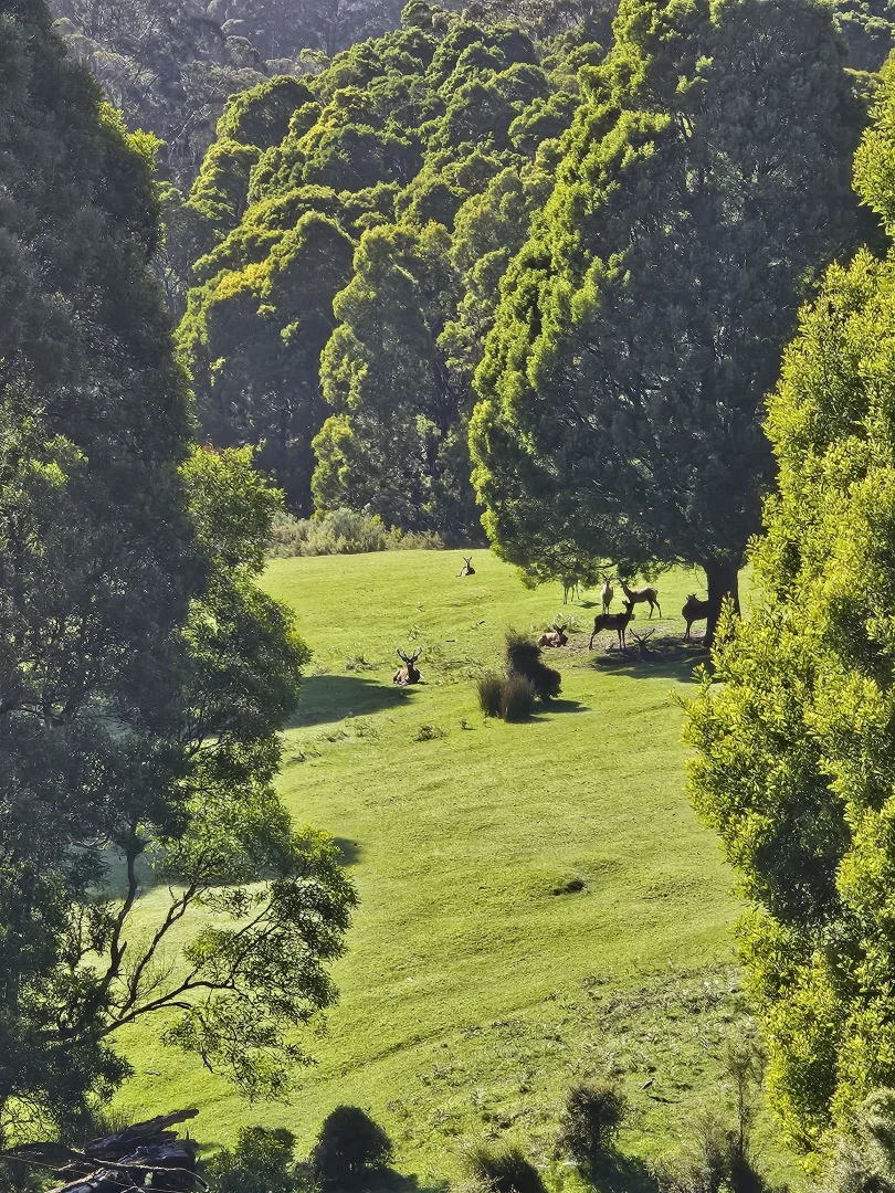 Additional image 2 of Grand Ridge VIC 3870