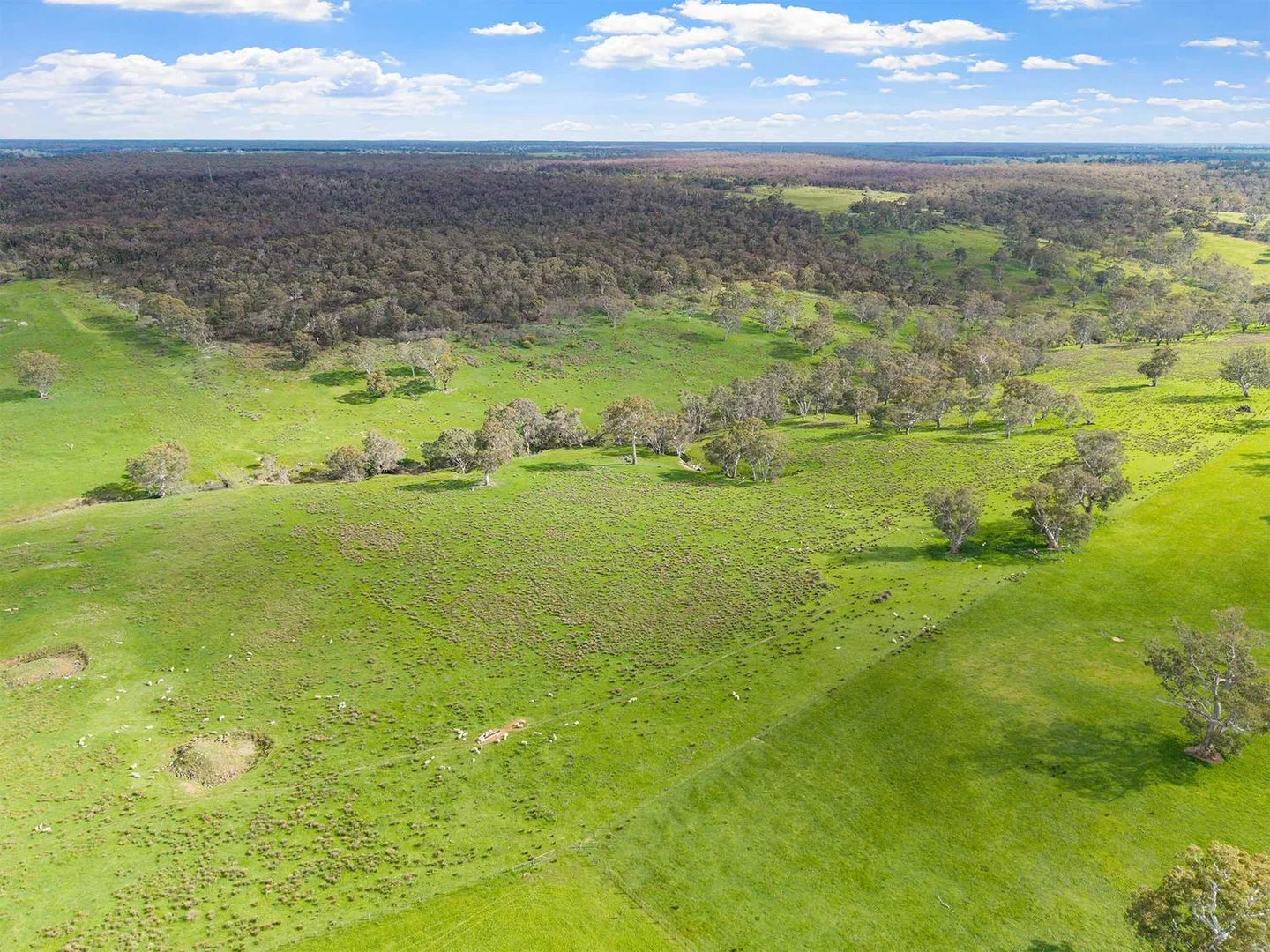 Additional image 11 of 3786 Casterton Edenhope Road, Chetwynd VIC 3312