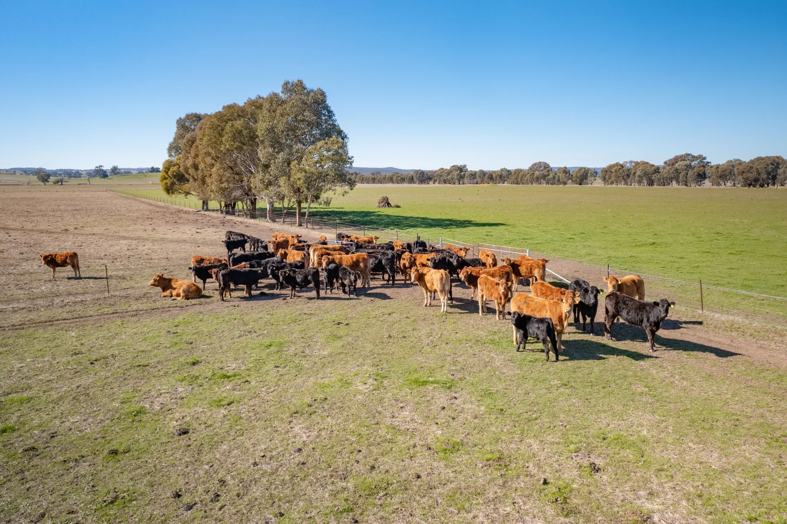 Additional image 15 of 486 Carraragarmungee Estate Road, Byawatha VIC 3678