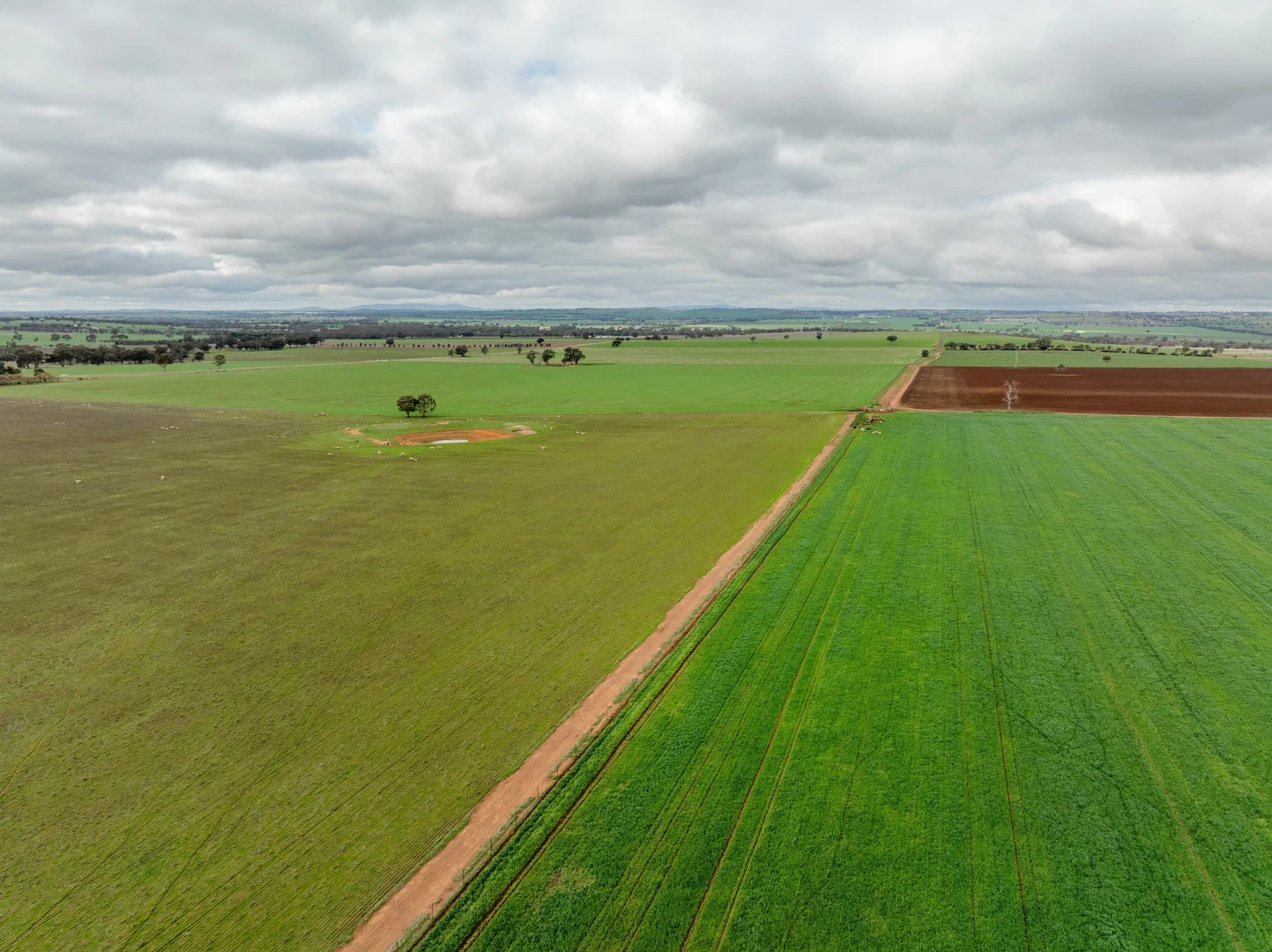 Additional image 19 of 79 Goldfields Way Old Junee Via, Wagga Wagga NSW 2650